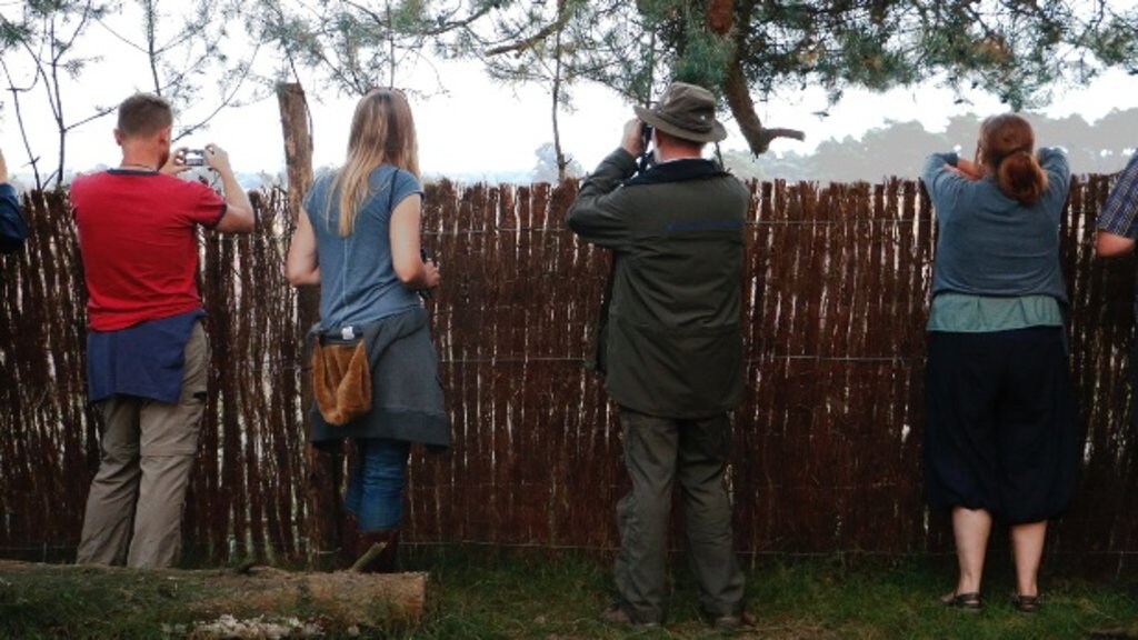 veluwe_natuur_beestenspotten.jpg