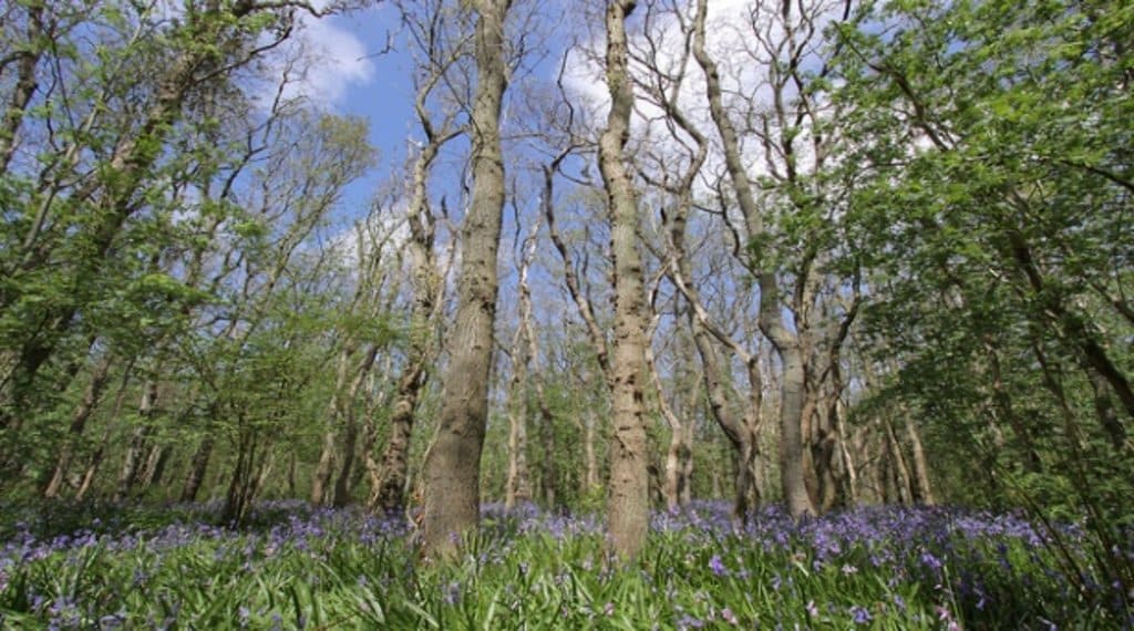 noordzeekust_nature_wildrijk.jpg