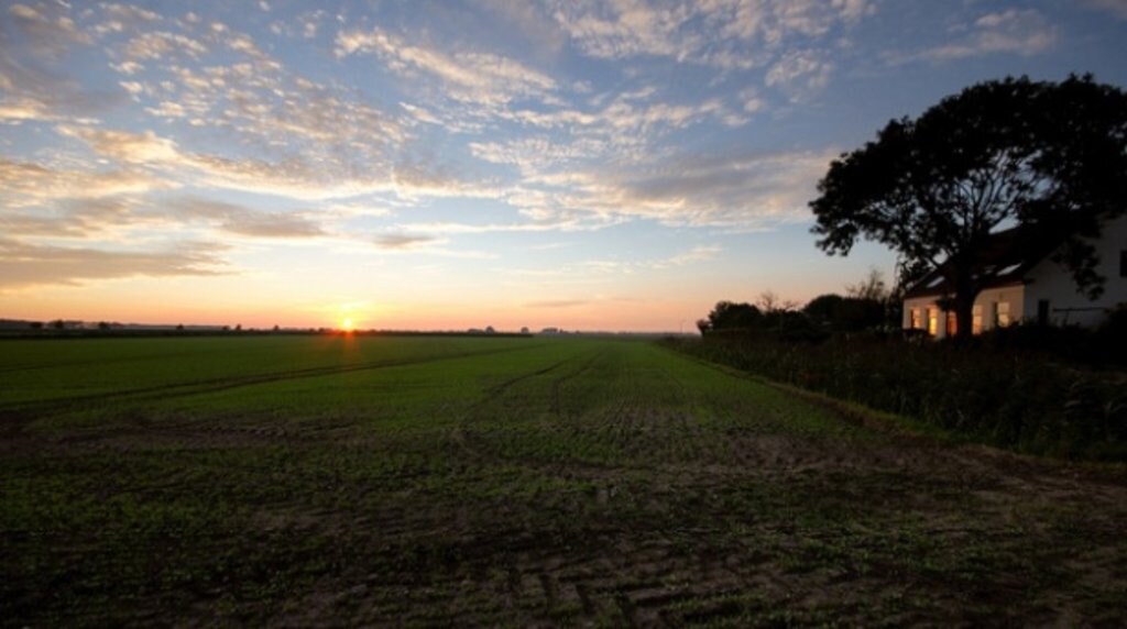 noord-brabant_herfst_lagezwaluwe.jpg