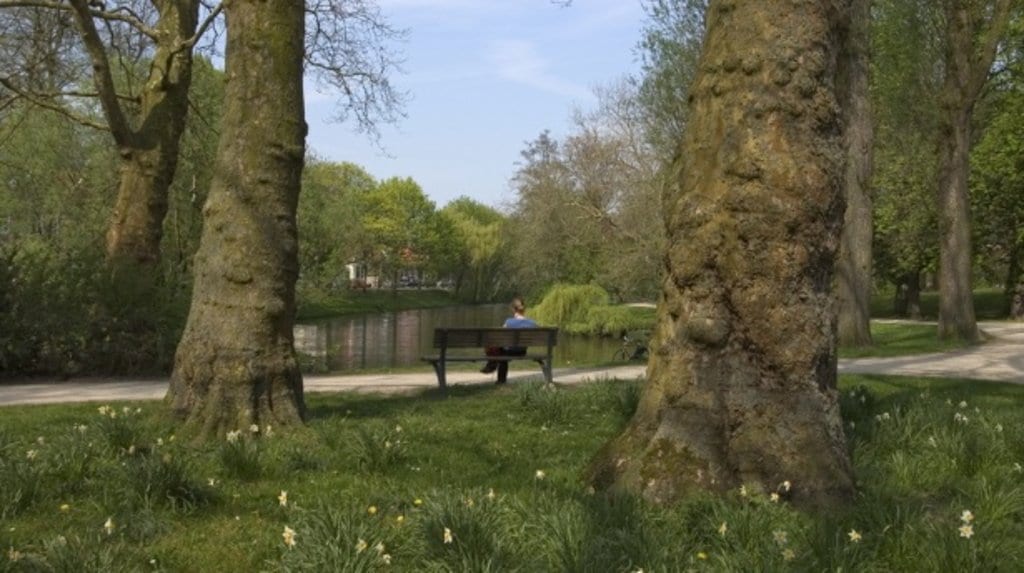 groningen_-_noorderplantsoen_park.jpg