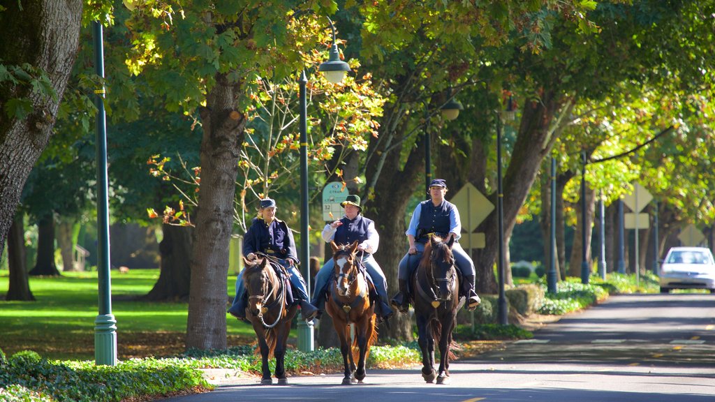 Officers Row showing a small town or village, horse riding and a park