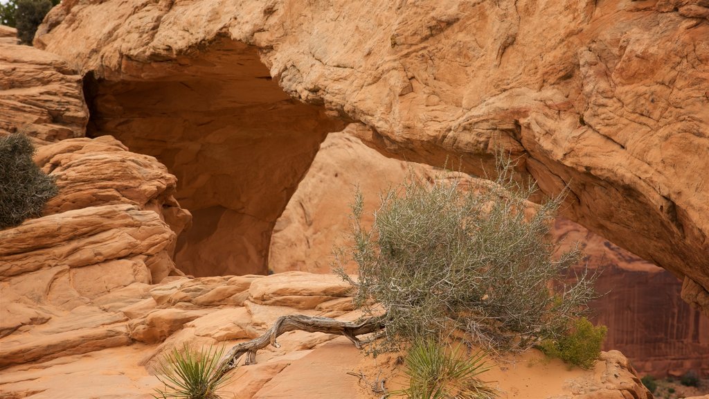 Mesa Arch Trail featuring tranquil scenes