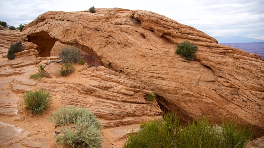 Mesa Arch Trail showing tranquil scenes