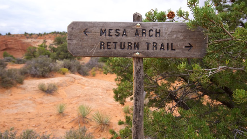 Mesa Arch Trail featuring tranquil scenes, signage and hiking or walking