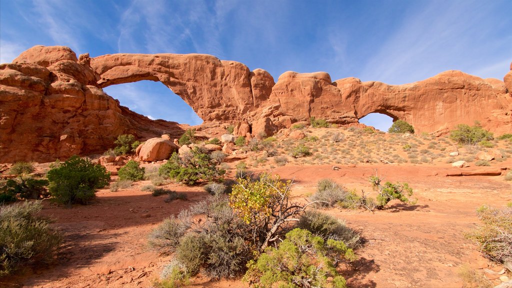 Les fenêtres mettant en vedette paysages paisibles et paysages