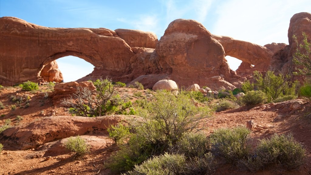 The Windows which includes tranquil scenes