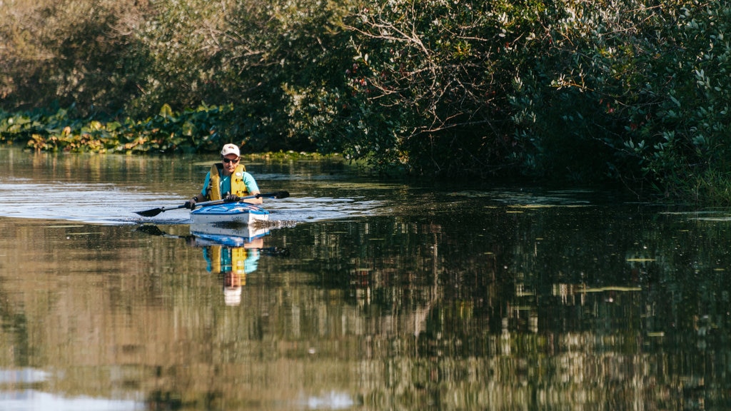 Parque natural Mercer Slough que incluye kayaks o canoas, un parque y un río o arroyo