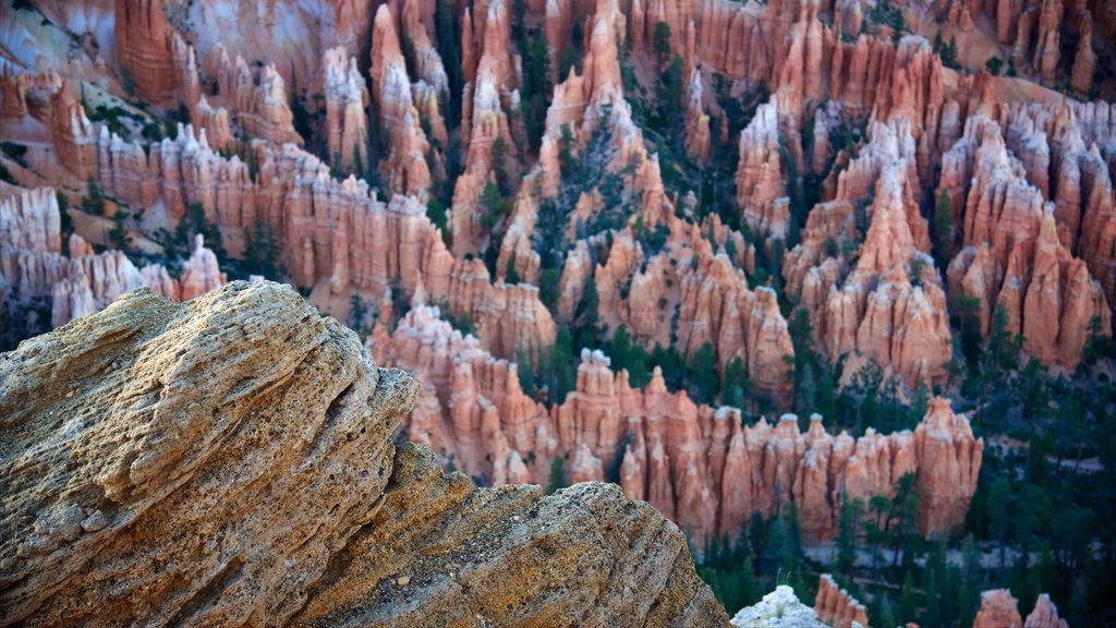 Bryce Point which includes a gorge or canyon and tranquil scenes