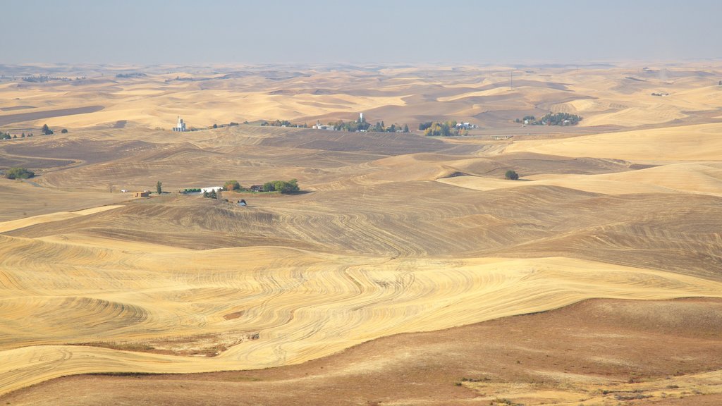 Steptoe Butte State Park showing landscape views and desert views