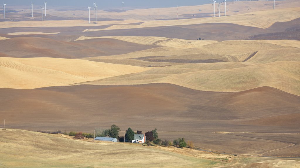 Pullman bevat vredige uitzichten en landschappen