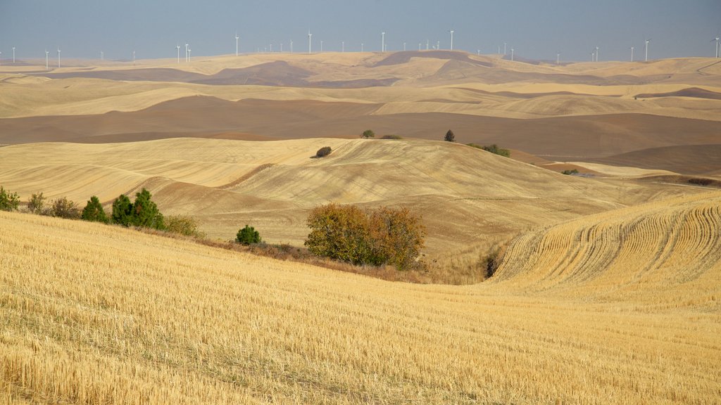 Pullman showing landscape views and tranquil scenes