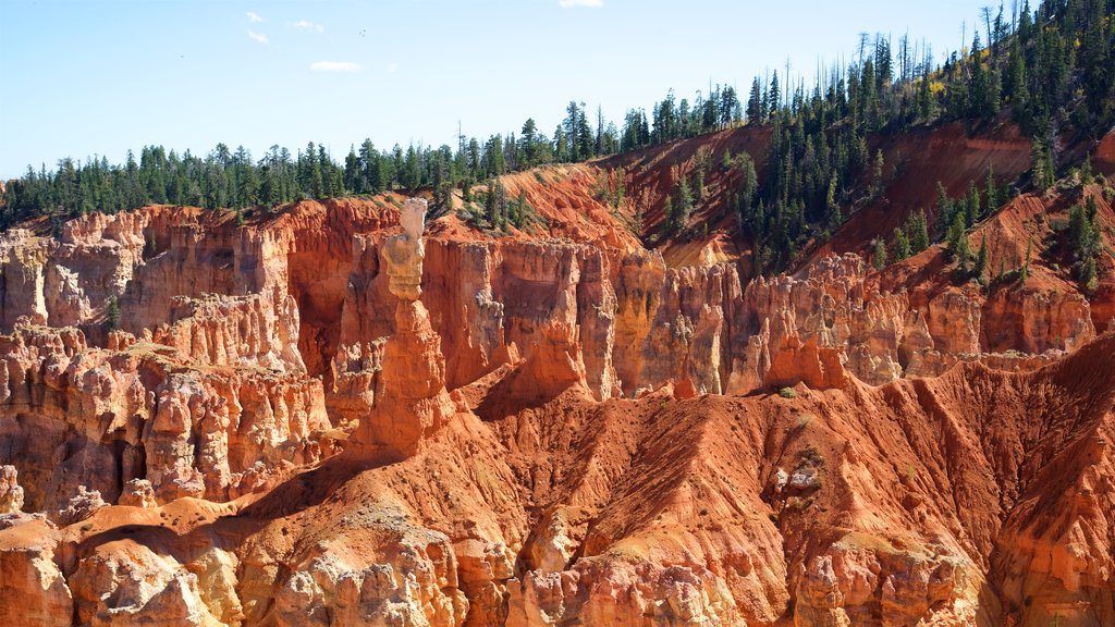 Tropic caracterizando paisagem, cenas tranquilas e um desfiladeiro ou canyon