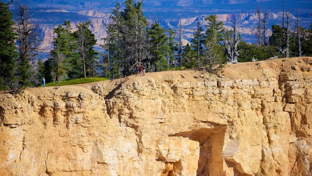 Tropic que inclui escalada ou caminhada, um desfiladeiro ou canyon e paisagem