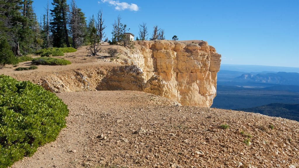 Tropic ofreciendo vista panorámica, una garganta o cañón y escenas tranquilas