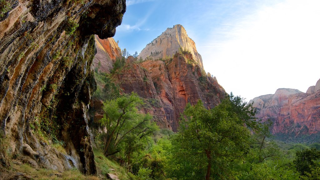 Utah que incluye escenas tranquilas, montañas y vista panorámica