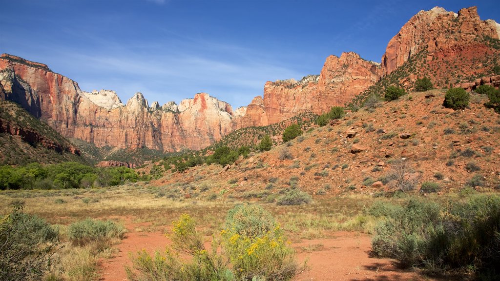 Zion Human History Museum showing tranquil scenes, mountains and landscape views