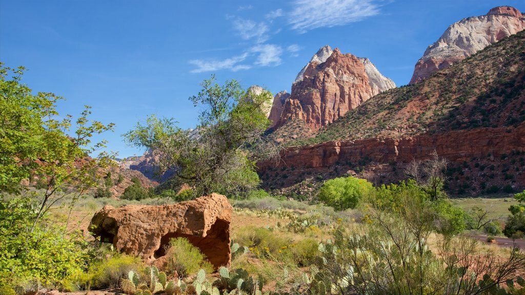 Museo de la historia humana de Zion que incluye montañas, vistas de paisajes y escenas tranquilas