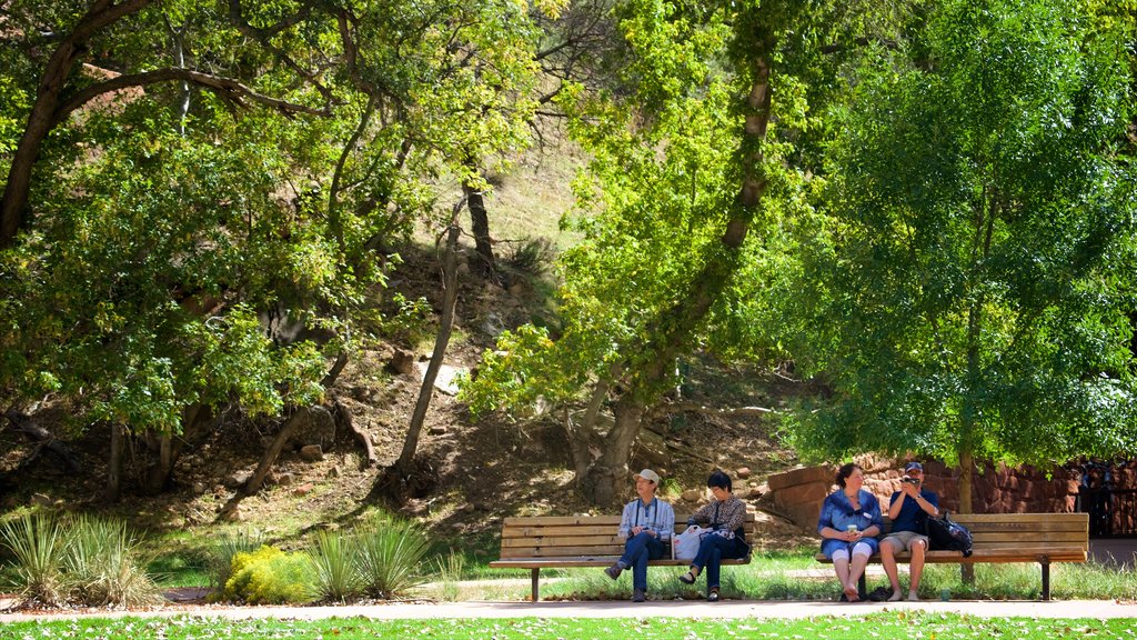 Parque Nacional Zion y también un pequeño grupo de personas