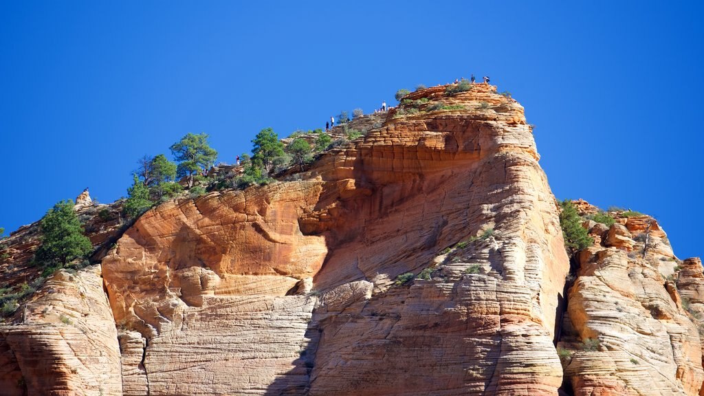 Zion National Park toont hiken of wandelen, vergezichten en landschappen