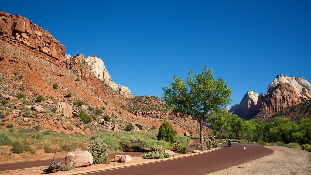 Zion National Park showing motorbike riding, landscape views and tranquil scenes