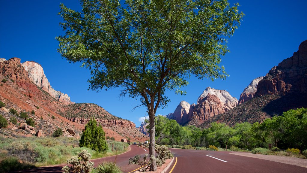 Zion National Park inclusief rondrijden en vredige uitzichten