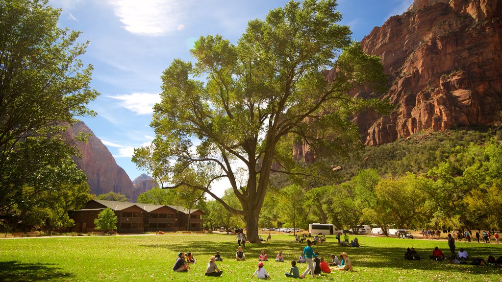 Zion National Park which includes a park and tranquil scenes as well as a small group of people