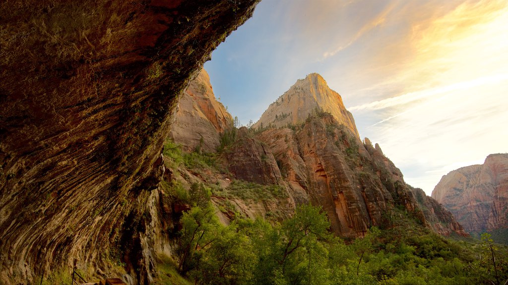 อุทยานแห่งชาติ Zion