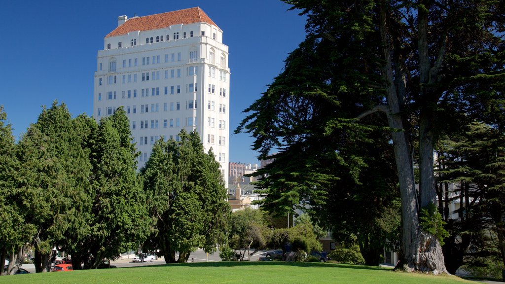 Pacific Heights mettant en vedette un parc