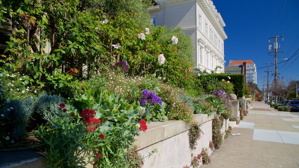 Barrio de Pacific Heights mostrando una casa, una ciudad y flores