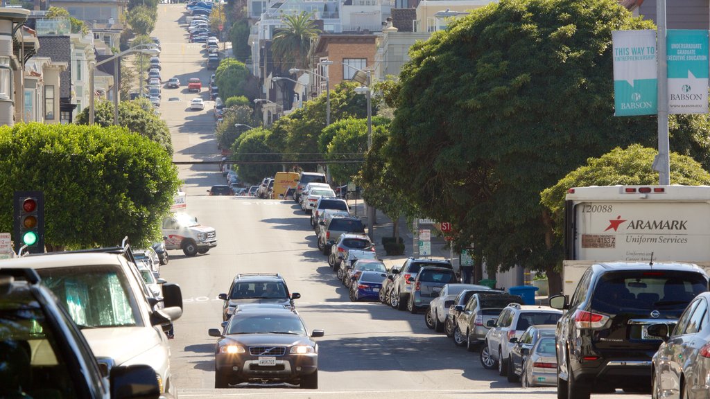 Cow Hollow showing street scenes and a city