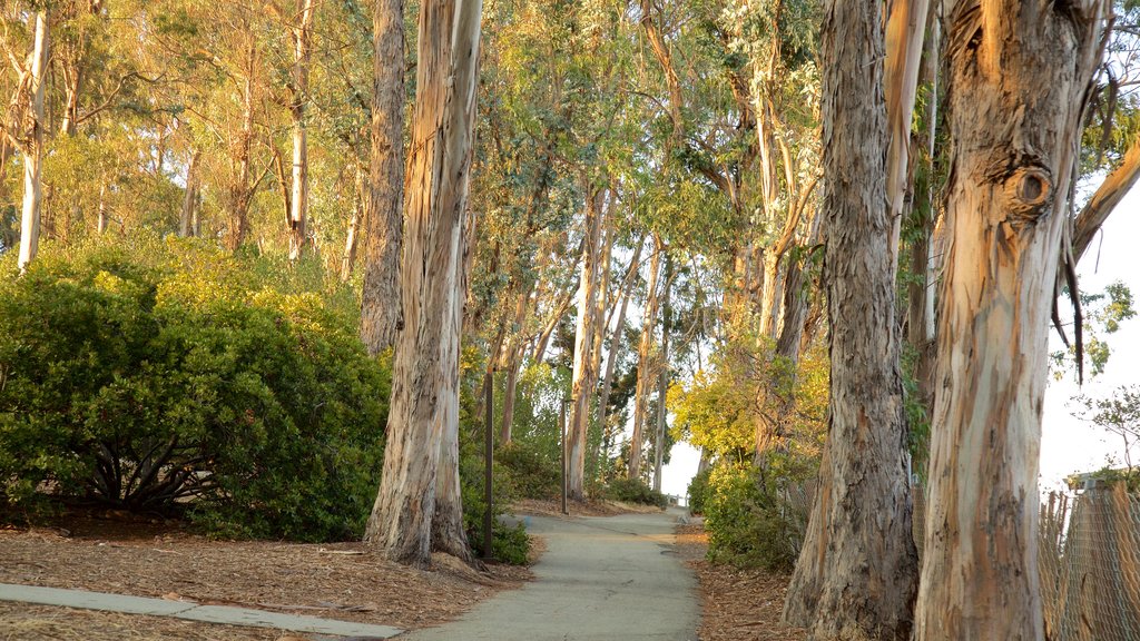 Coyote Point Park que inclui um parque