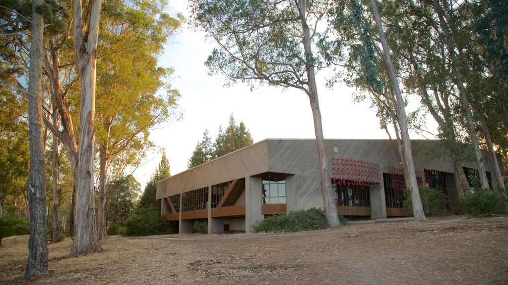 Coyote Point Recreation Area showing a park