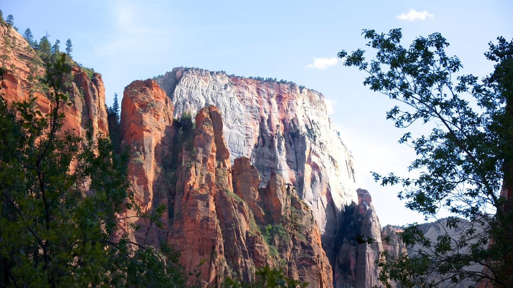 Temple of the Sinawava featuring mountains, landscape views and caves