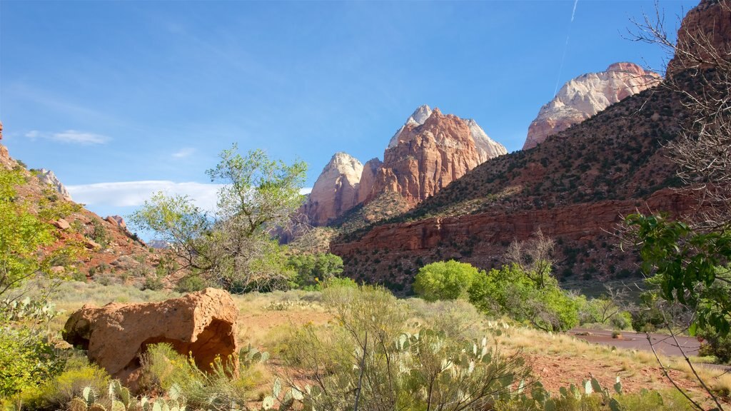 Zion Human History Museum featuring tranquil scenes, landscape views and a gorge or canyon