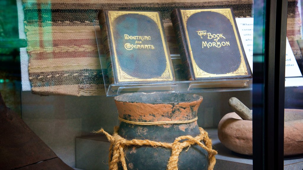 Zion Human History Museum showing interior views