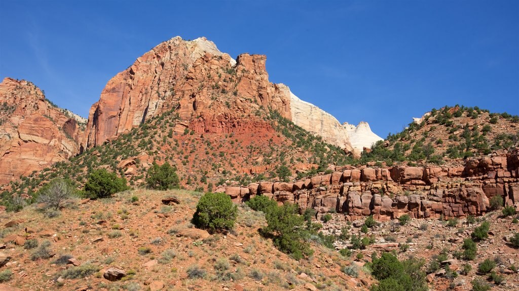 Zion Human History Museum showing tranquil scenes, mountains and landscape views