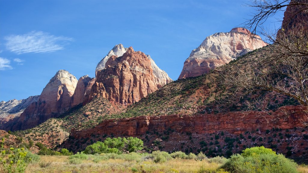 Zion Human History Museum caracterizando um desfiladeiro ou canyon, paisagem e cenas tranquilas