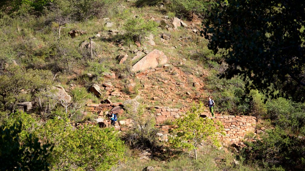 Weeping Rock Trail que inclui paisagens do deserto e escalada ou caminhada assim como um pequeno grupo de pessoas