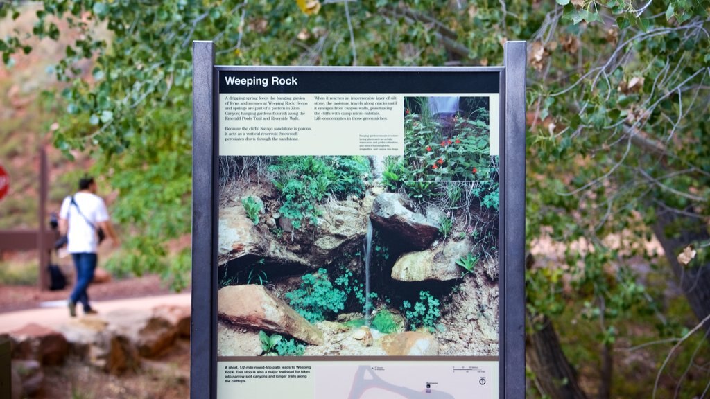 Weeping Rock Trail which includes signage