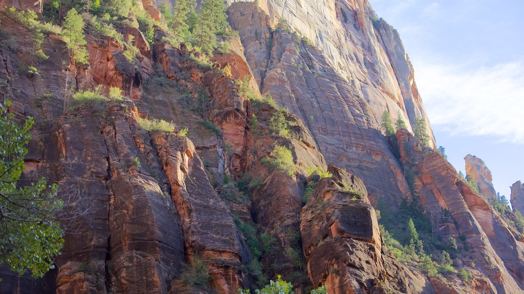 Zion National Park featuring tranquil scenes, landscape views and mountains