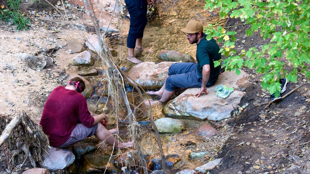 Weeping Rock Trail which includes a river or creek as well as a small group of people