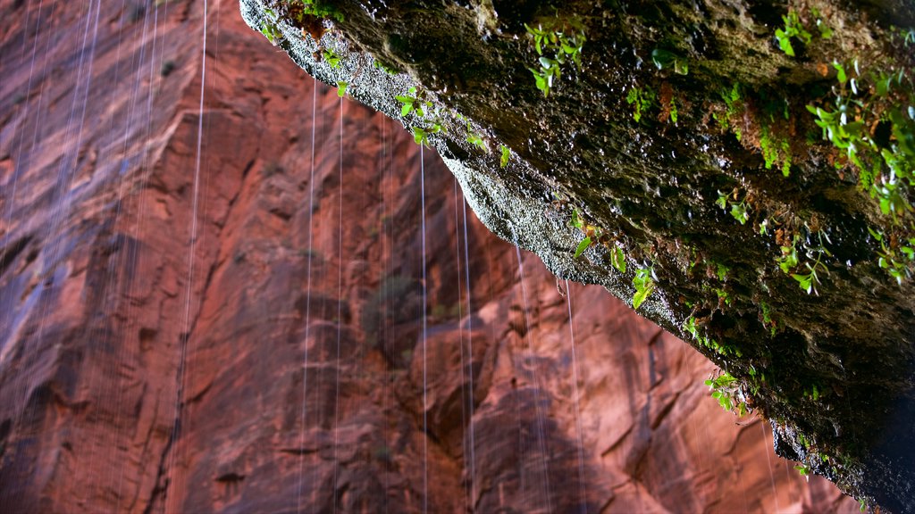 Zion National Park toont vredige uitzichten