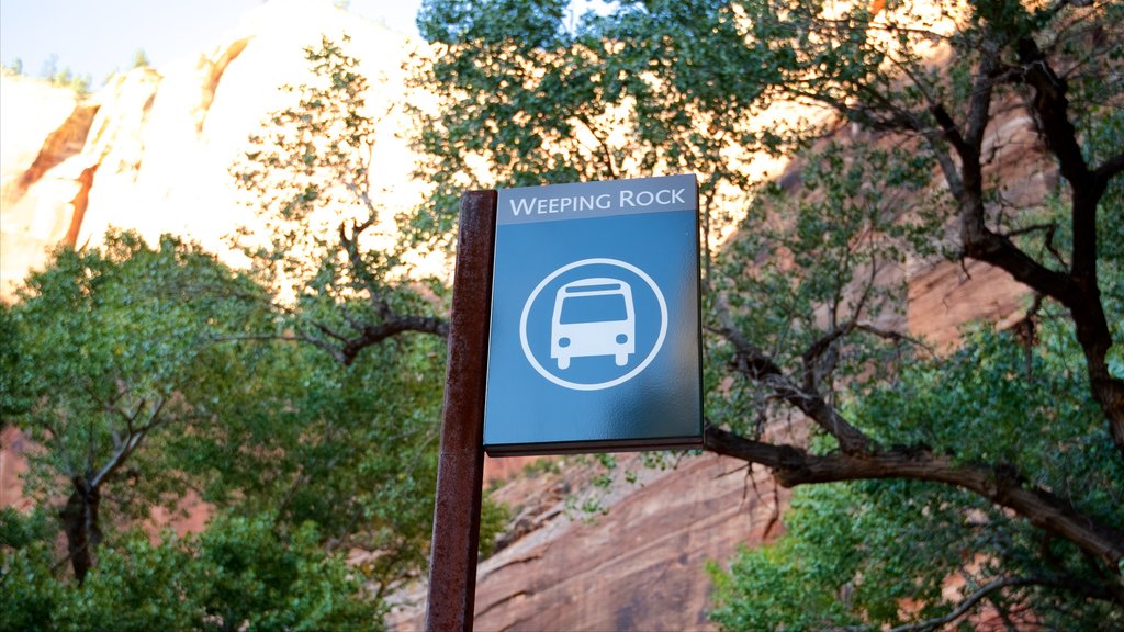 Zion National Park toont een ritje met de auto, vredige uitzichten en bewegwijzering