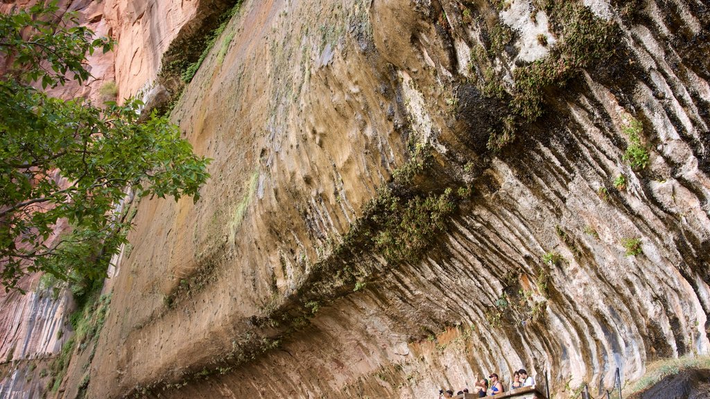 Zion Nationalpark og byder på fredfyldte omgivelser