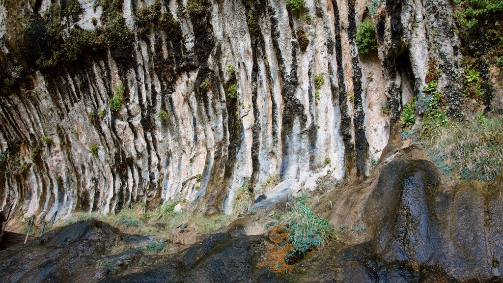 Zion National Park featuring tranquil scenes