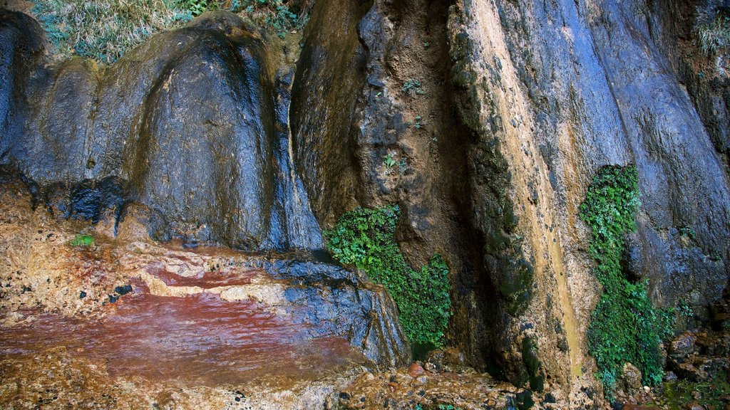 Zion Nationalpark og byder på fredfyldte omgivelser