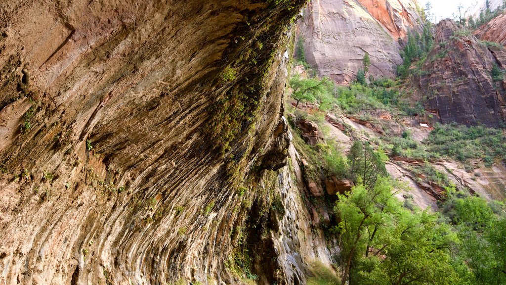 Zion National Park bevat vredige uitzichten