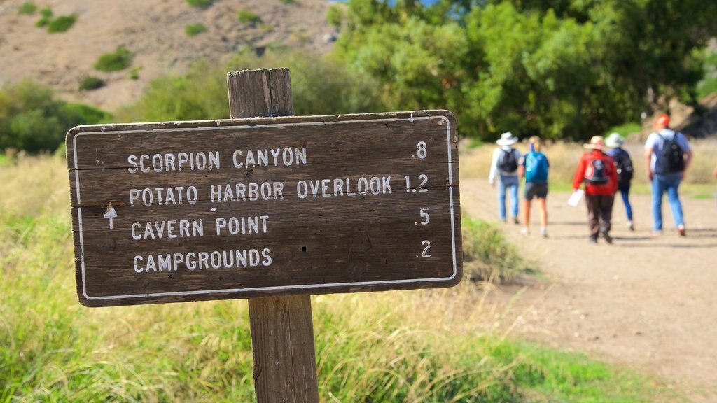 Ventura showing hiking or walking and signage