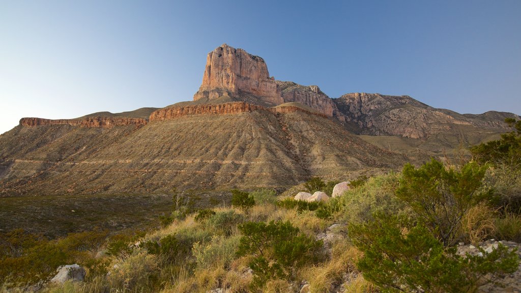 Parc national Guadalupe Mountains montrant édifice en ruine