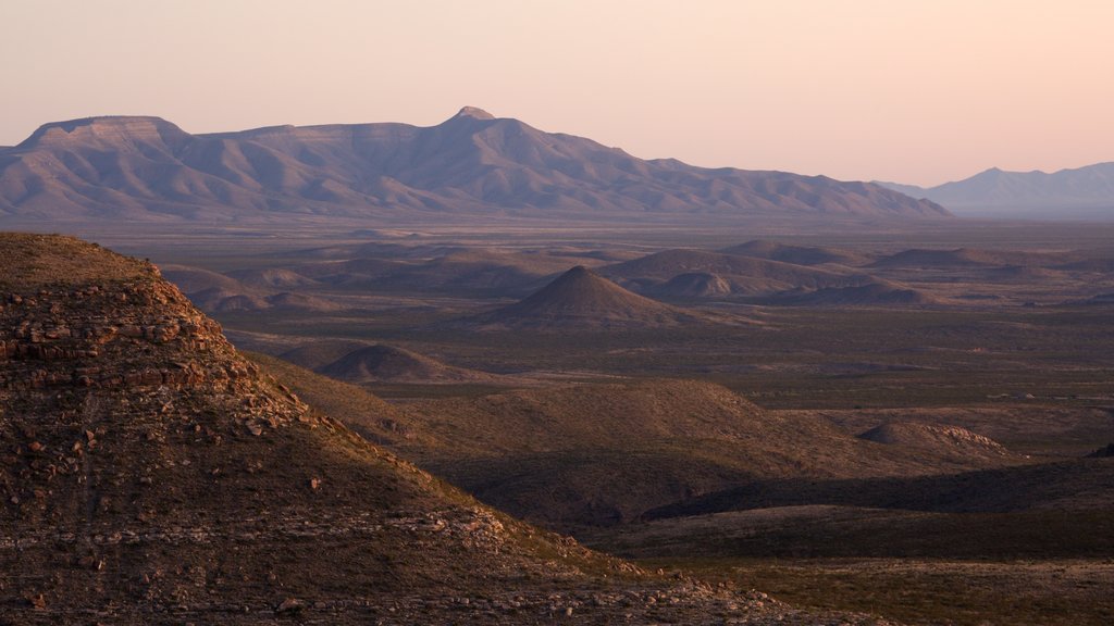 Parc national Guadalupe Mountains mettant en vedette une gorge ou un canyon